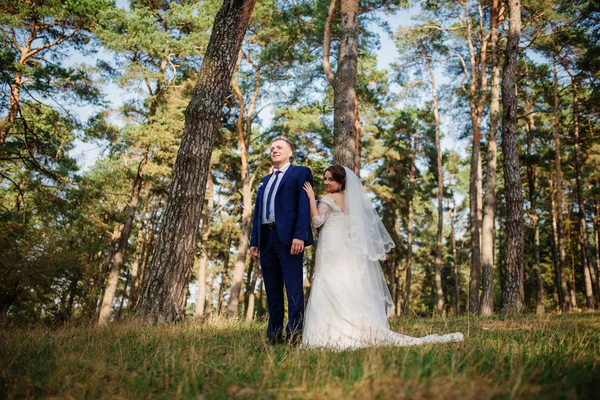 Наречений і наречений в сосновому лісі, мила весільна пара на природі . — стокове фото