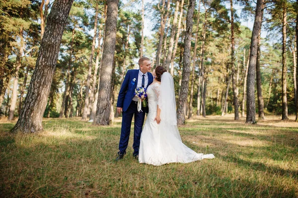 Menyasszony és a vőlegény, a fenyves erdő, a természet szép esküvői pár. — Stock Fotó