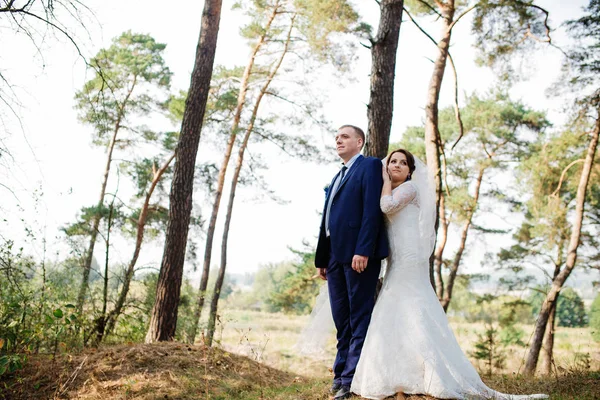 Bride and groom at pine forest, lovely wedding couple at nature. — Stock Photo, Image