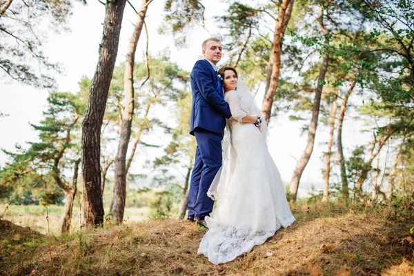 Bruid en bruidegom op dennenbos, mooie bruidspaar op aard. — Stockfoto