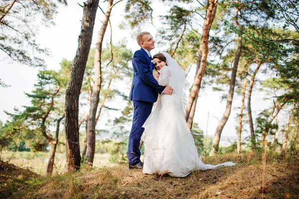 松の森、自然で素敵な結婚式のカップルの新郎新婦. — ストック写真