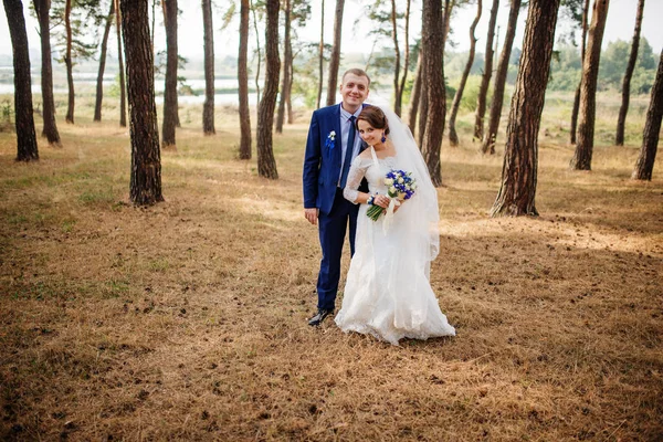 Bride and groom at pine forest, lovely wedding couple at nature. — Stock Photo, Image