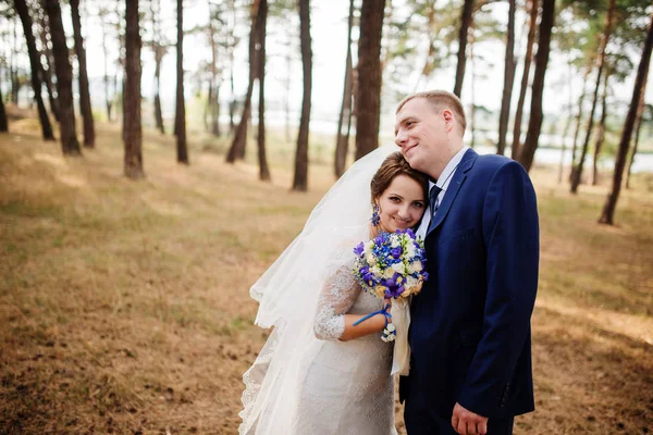 Novia y novio en el bosque de pinos, encantadora pareja de bodas en la naturaleza . — Foto de Stock