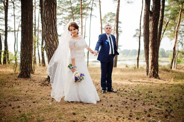 Bruden och brudgummen på tallskog, härlig bröllopsparet på naturen. — Stockfoto