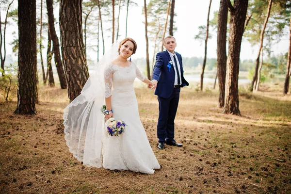 Mariée et marié à la forêt de pins, beau couple de mariage à la nature . — Photo