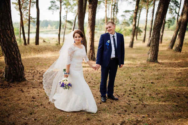 Braut und Bräutigam im Kiefernwald, schönes Hochzeitspaar in der Natur. — Stockfoto