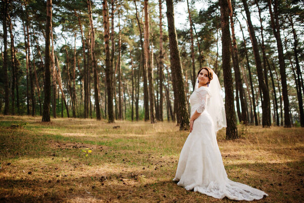 Amazing brunette bride with violet wedding bouquet at pine wood.