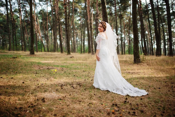 Noiva morena incrível com buquê de casamento violeta em madeira de pinho . — Fotografia de Stock