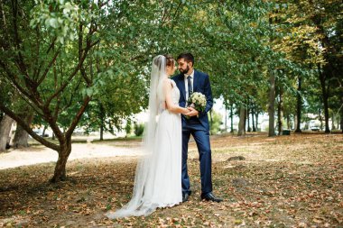 Yeşil park ağaca gizli evlilik çift devam.