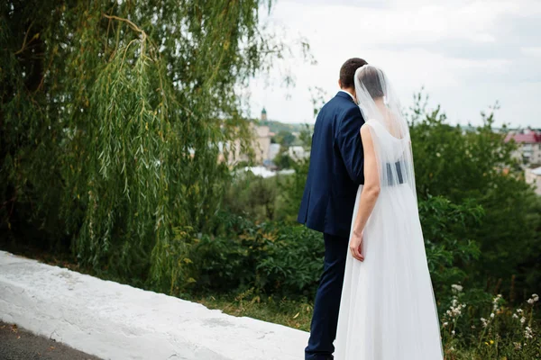 Achterkant van bruidspaar kijken naar panorama landschap. — Stockfoto