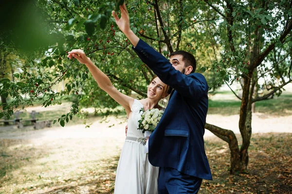 Boda pareja estancia bajo árbol en verde parque . — Foto de Stock