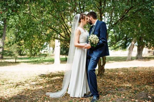 Wedding couple stay under tree at green park. — Stock Photo, Image