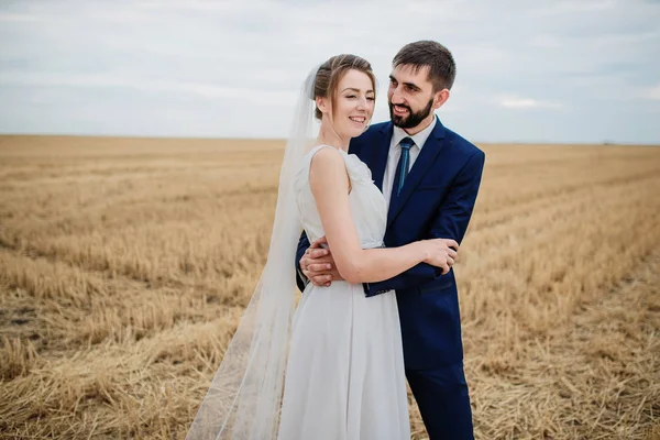 Bröllop par i kärlek på vetefält med stubb. — Stockfoto
