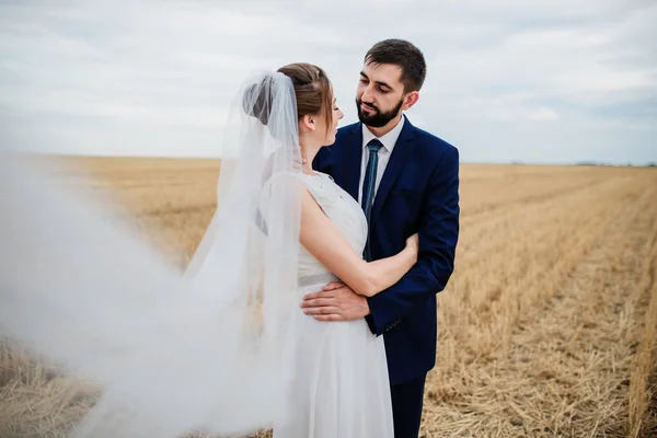 Wedding couple in love at wheat field with stubble. — Stock Photo, Image