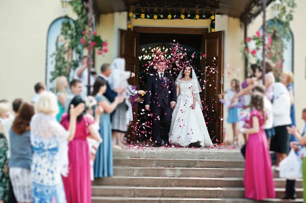 Os hóspedes são cumprimentados casal de casamento com pétalas de rosas na saída f — Fotografia de Stock