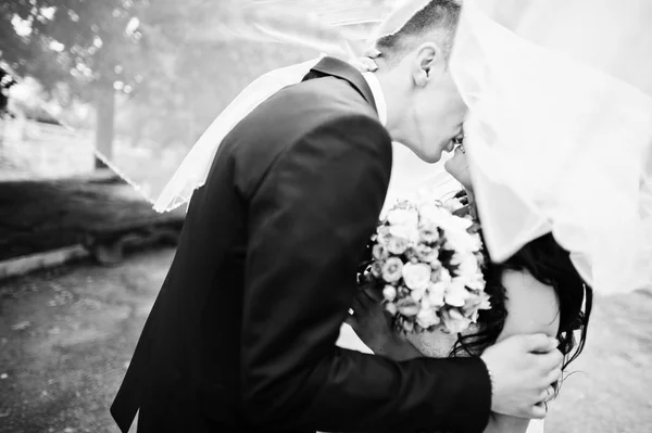 公園で愛の若いスタイリッシュな結婚式のカップルのキスのクローズ アップ ストック画像
