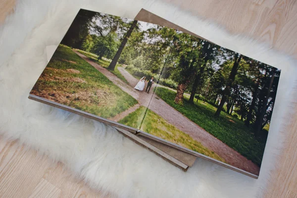 Páginas de fotolivro de casamento ou álbum de casamento no tapete em madeira — Fotografia de Stock