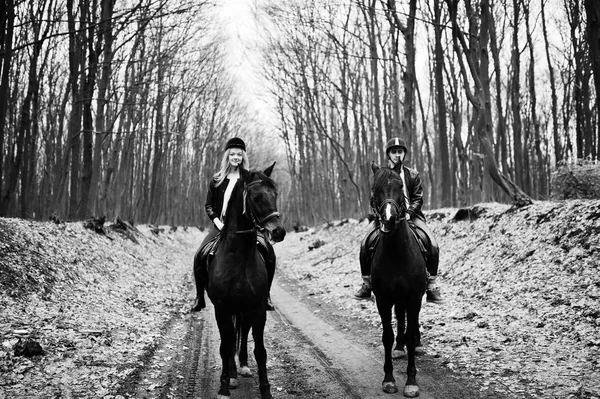 Casal elegante jovem montando em cavalos na floresta de outono. Preto a — Fotografia de Stock