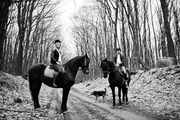 Mladý pár stylová jízda na koních v podzimním lese. Černá — Stock fotografie
