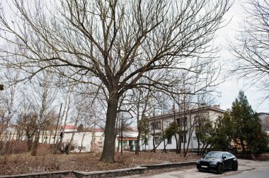 Kiev, Ukrayna - 22 Mart 2017: Siyah Bmw X 6 M performansı st