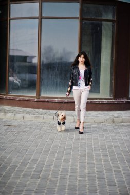 Yorkshire terrier köpek ile esmer Çingene Kız lar karşı poz verdi.