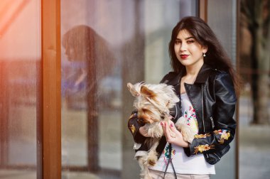 Yorkshire terrier köpek ile esmer Çingene Kız lar karşı poz verdi.