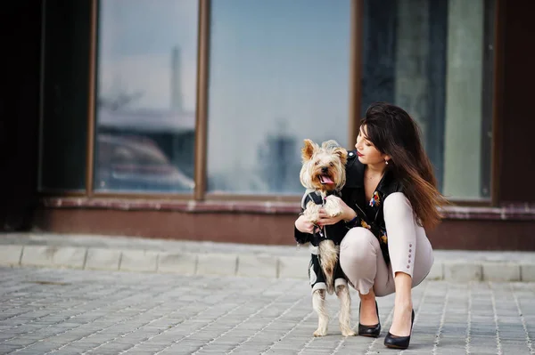 Brunette gypsy girl with yorkshire terrier dog posed against lar — Stock Photo, Image