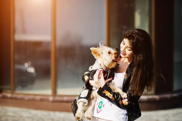 Morena chica gitana con yorkshire terrier perro posó contra lar —  Fotos de Stock