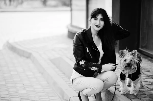 Брюнетка циганський дівчину з собакою Йоркширський тер'єр позувала проти lar — стокове фото