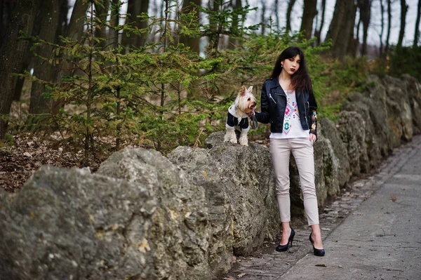 Brunett gypsy girl med yorkshire terrier hund ställde mot sto — Stockfoto