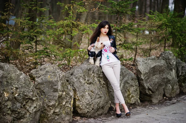 Brunette fille gitane avec chien terrier yorkshire posé contre sto — Photo