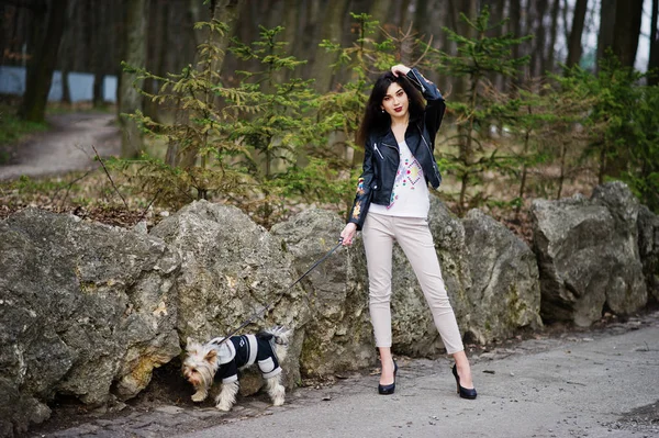 Brunett gypsy girl med yorkshire terrier hund ställde mot sto — Stockfoto