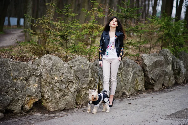 Brunett gypsy girl med yorkshire terrier hund ställde mot sto — Stockfoto