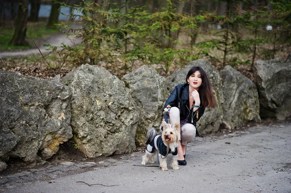 Brunett gypsy girl med yorkshire terrier hund ställde mot sto — Stockfoto