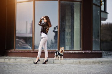 Yorkshire terrier köpek ile esmer Çingene Kız lar karşı poz verdi.