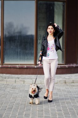 Yorkshire terrier köpek ile esmer Çingene Kız lar karşı poz verdi.