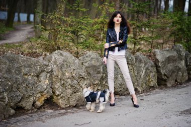 Yorkshire terrier köpek ile esmer Çingene Kız sto karşı poz verdi.