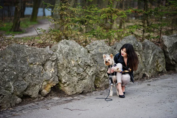 Yorkshire terrier köpek ile esmer Çingene Kız sto karşı poz verdi.