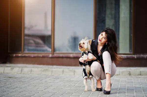 Brunett gypsy girl med yorkshire terrier hund ställde mot lar — Stockfoto