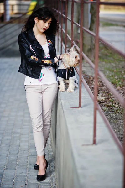 Morena chica gitana con yorkshire terrier perro posó contra ste —  Fotos de Stock