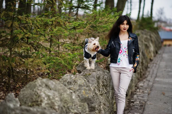 Brunetka cikánská dívka s yorkshire teriér pes položil proti sto — Stock fotografie