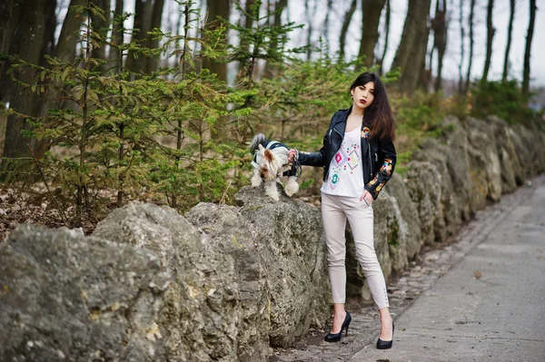 Brunett gypsy girl med yorkshire terrier hund ställde mot sto — Stockfoto