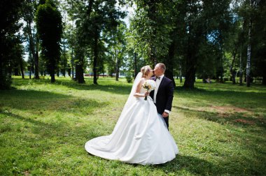 Şık Düğün çifti güneşli weddin üzerinde yeşil park sarılma