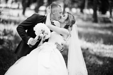 Şık Düğün çifti güneşli weddin üzerinde yeşil park sarılma