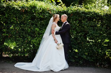 Şık Düğün çifti güneşli weddin üzerinde yeşil park sarılma