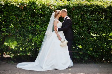 Şık Düğün çifti güneşli weddin üzerinde yeşil park sarılma