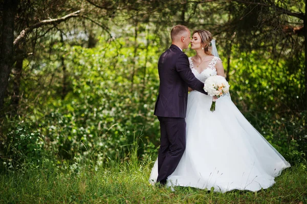 日当たりの良い結婚式の da の森でハグ ファッショナブルな結婚式のカップル — ストック写真