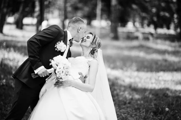 Modisch küssendes Hochzeitspaar umarmt sich im grünen Park an der Sonne — Stockfoto