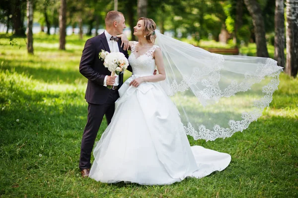 Şık Düğün çifti güneşli weddin üzerinde yeşil park sarılma