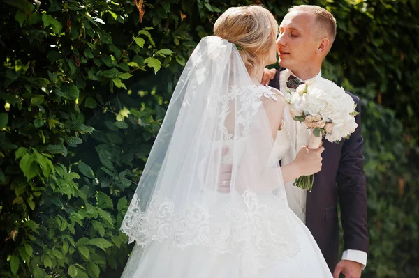 Fashionable wedding couple hugging at green park on sunny weddin — Stock Photo, Image